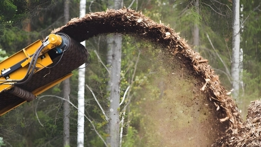 Heavy machinery dispersing shredded wood chips and biomass in a wide arc against a backdrop of pine trees