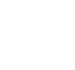 Online access to selected presentation materials
